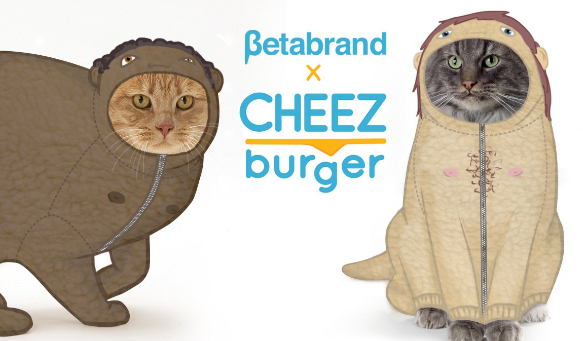 1150x673xcheezburger_clothes_for_cats_collection_1.jpg.pagespeed.ic.dvHsdnRz8g