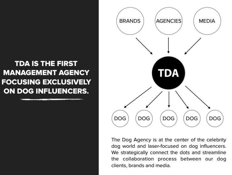 A slide from The Dog Agency's pitch deck