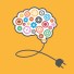 brain