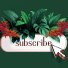 A subscribe button surrounded by lush green and red tropical plants, symbolizing how publishers cultivate and grow loyalty among their subscribers